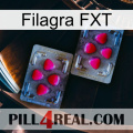 Filagra FXT 15